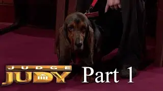 Dispute over Daisy's Dog Boarding Bill | Part 1