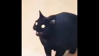 &minus;&bull;&minus;&bull; &bull;&minus; &minus;