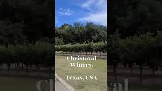 #shorts Christoval Winery, Texas, USA #visittexas #texas #winery