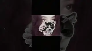 Admin 𝑀isa ?! ( aka dreamy 🐱 ) #eyereveal #trend #done #by #dreamy