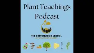 Plant Teaching Podcast   Western Red Cedar