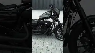 Harley Davidson iron 883 Modified || Family |~ Black on. Fire #harleydavidson