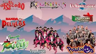 Viejitas De La Banda Para Bailar Movidas 2023 - Banda Machos, La Arrolladora, Cuisillos, El Recodo