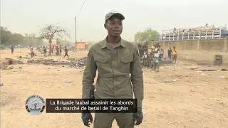 Occupation anarchique et insalubrité : la Brigade Laabal débarque au marché de bétail de Tanghin