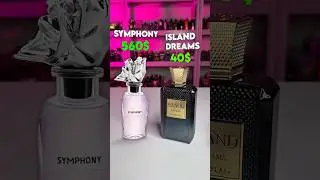 Expensive VS Affordable Alternative.
