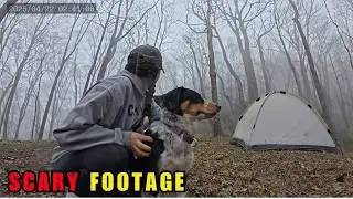 6 Forest Camping Encounters Caught on Camera That&rsquo;ll Haunt You