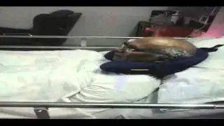 ANR Passes Away