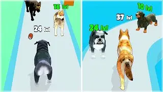 MAX LEVEL in Dog Evolution Run Game!