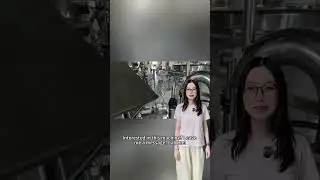 Fully Automatic Rice Vacuum Packaging Machine