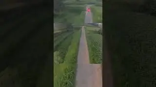 Safe Fly | Micro FPV drone | try to maneuver