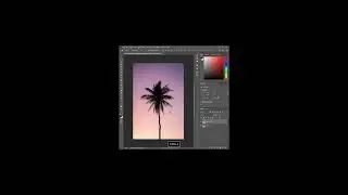 ADOBE PHOTOSHOP | Content Aware Fill | 2022