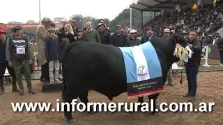 Informe Rural TV - Raza Brangus: jura, Ptes.de Brangus ArgentIna y Uruguay
