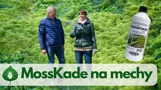 MossKade - Zbavte se mechu (nejen) v trávníku šetrně a přírodní cestou