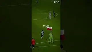 polen rettet seine bff welch land noch