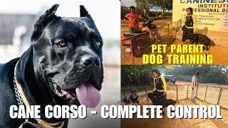 Complete Control of Dog Training for Pet Parents | Caninescoach | Durgesh Khadkekar | 9849486806