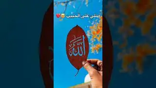 Beautiful Islamic status on Muslim, 4k Islamic status  #Islam #allah #ytshort like Camnts subscribe