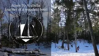 Acorn to Arabella - Journey of a Wooden Boat - Episode 1: Tree Fall