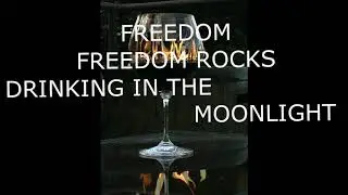 Tara Kye - Freedom Rocks