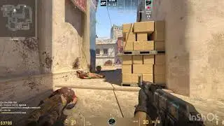 Professional CS2 Gamer(me)