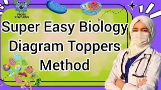 Super Easy Biology Diagram ||Chapter # 3 ||9Th Class Biology New Book 2025 ||PCTВ||9th new Biology