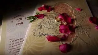 sadi card  reel
