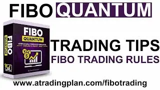 FIBO QUANTUM - Are You Trading It The Right Way?