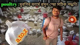 পোল্টি মুরগির ফার্মের রসুন স্প্রে সঠিক পদ্ধতি🐔।। #poultryfarming #poultryfarm #cycleriderdas 