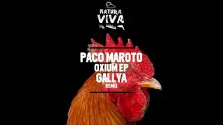 Paco Maroto - Oxium (Gallya Remix)  [Set About]