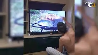 Bromas para combatir la cuarentena