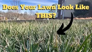 Winter Lawn Care: 3 Things You MUST Do & 2 Mistakes to Avoid!