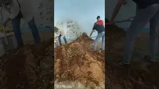 CAPACITY ENHANCEMENT ON THE OPERATIONS OF COMPOSTING FACILITIES FOR BIODEGRADABLE WASTE