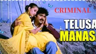 Telusa manasa-Criminal-flute tutorial