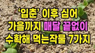 입춘 이후 심으면 가을까지 매달 끝도없이 수확해 먹을 수 있는 작물 7가지