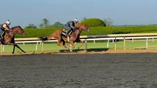 Doug O'Neill Trainees