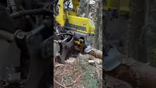 1270G: AI-Powered Beast That Reprograms the Forest 🌲🤖 #johndeere #forest #harvester #lumberjack