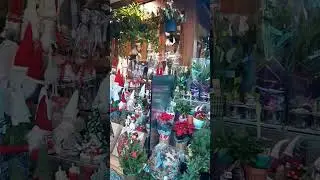 Christmas Spirit in London England (01 December 2025) #londonvlogs#Christmas2025 #holidayrush