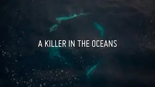 'A Killer in the Oceans': Operation Driftnet Teaser - Sea Shepherd