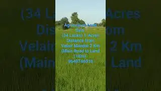 AGRICULTURE LAND SALE AT VELAIR MANDAL 9640746310 #agriculturelandforsaleinwarangal#VELAIR