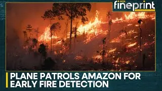 Environmentalists step up Amazon monitoring for the upcoming burning season | WION Fineprint