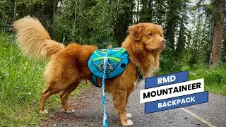 Kickstarter Mountaineer Dog Backpack | Perfect for day hikes and backcountry camping.