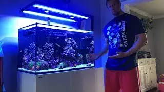 Red Sea Reefer 250 | $12 Dollar Mistake Nearly Destroyed....