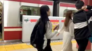 Tokyo trains safety system - platform gates