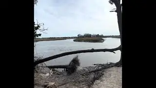 Rucking🥾 Edisto Beach State Park: The Ultimate Guide