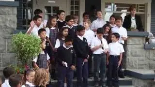 Flag Salute 