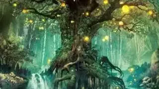 Reiki To Be a Miracle Manifestor..