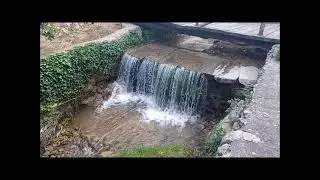 Senda de las Fuentes PR-TO 52 (Agua fuente de vida) - El Real de San Vicente (Toledo) May 24