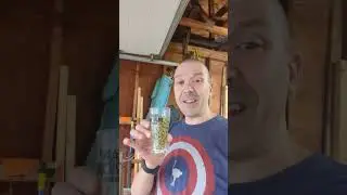 Homebrewing beer hack - use a tasting glass to hold your Yakima Valley Hops!