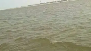 Highlights from Capt. Mike's Dolphin Tour - Tybee Island Geo
