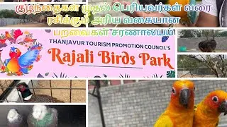 🕊️🕊️🕊️😃 Rajali Birds Park Thanjavur | Exotic Birds from different Countries | Animal Lovers 🕊️🕊️🕊️😃