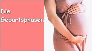 Die Geburtsphasen!